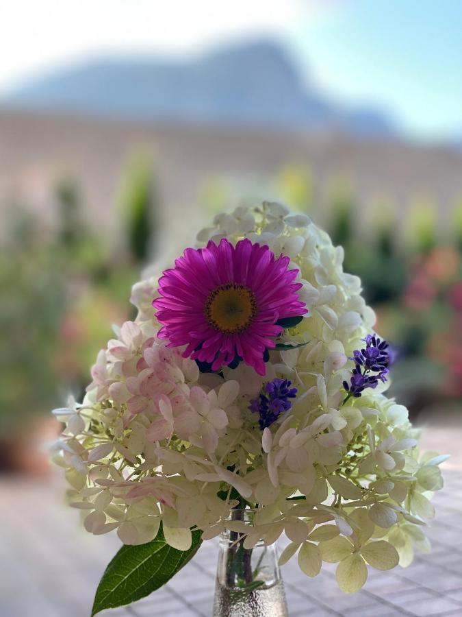 Guesthouse Sabine - Pr' Skminc بوهينيسكا بيلا المظهر الخارجي الصورة